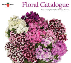floral catalog