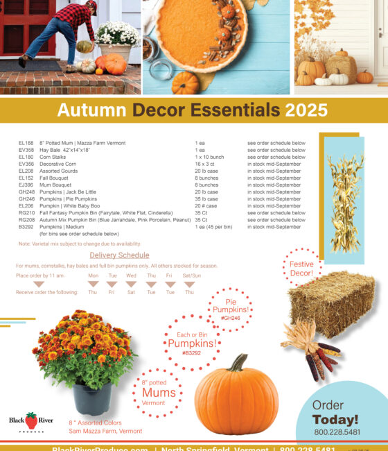 wholesale-mums-cornstalks-pumpkins-flyer