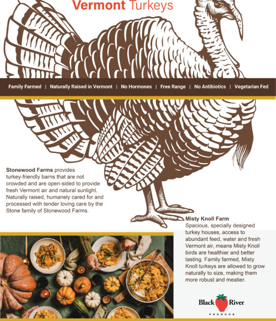 Turkey-wholesale-order form