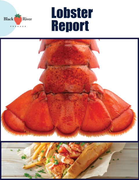 Lobster report thumbnail