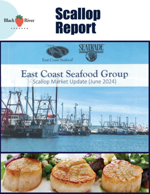 Scallop Report June 2024 Cover