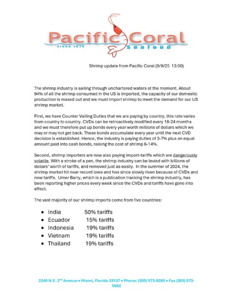 bay-winds-shrimp-market-update-thumbnail