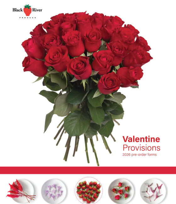 valentine floral long stem strawberry